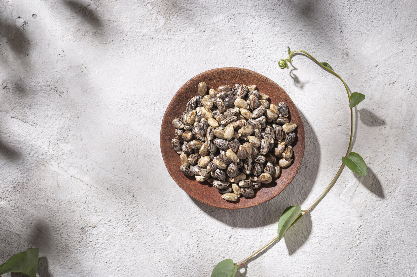 Real Jamaican Black Castor Oil